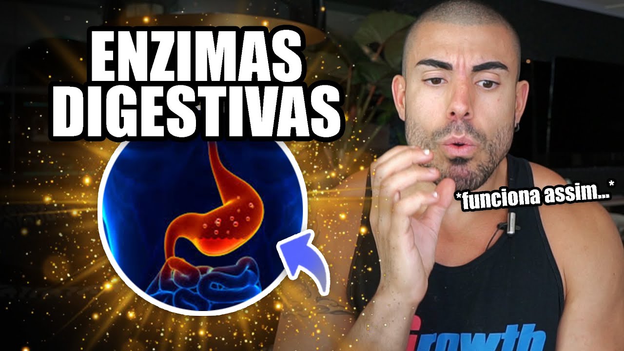 Tudo sobre enzimas digestivas