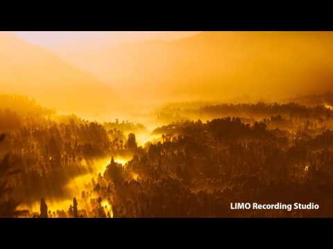 download lagu mp3 mp4 Whirlwind Love, download lagu Whirlwind Love gratis, unduh video klip Whirlwind Love