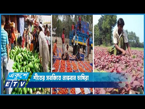 ভালো দাম পাওয়ায় এবার শীতের সবজিতে লাভবান চাষিরা | ETV News
