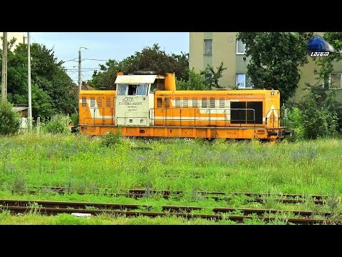 Portocala Hidraulica 82-0410-4  la Manevra/Shunting in Gara Satu Mare Station - 29 June 2018