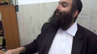 איזה חיות מותר לגדל על פי הלכה