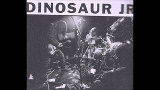 Dinosaur Jr. - No Bones