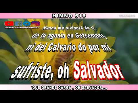 HIMNO 516 QUE GRANDE CARGA OH SALVADOR. #diosesamor #diosteama #Dios #Jesucristo #fe #himnos
