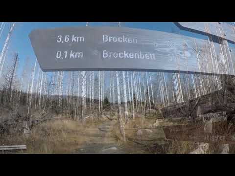Brockentour, Waldsterben im Harz