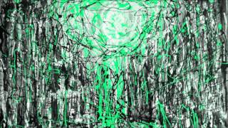 A Lion in NYC - Burial vs Four Tet