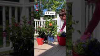 Download lagu 4 Cara Menarik Burung Kolibri mp3