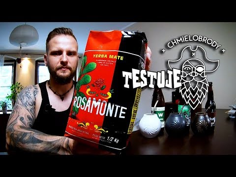 Chmielobrody testuje: piwne terere (czyli piwo z yerba mate / yerba mate cerveza)