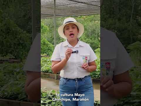 Karla Reategui - Prefecta Zamora Chinchipe