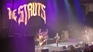 The Struts - Put Your Money On Me live Rock im Park 2019