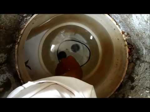 Skimmer Bottom O ring, Float Valve Assembly, Equalizer