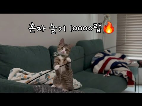 혼자 놀기 10000랩