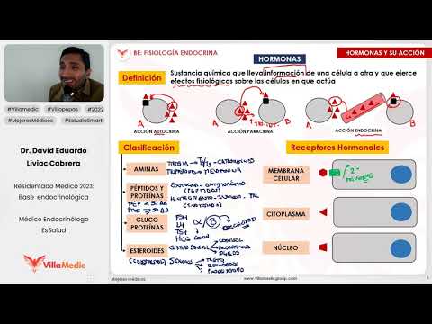 Fisiología endocrina - Lo que debo saber para el examen de RM - Parte 1 | Dr. David Liviac