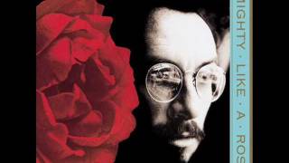 Elvis Costello - All Grown Up