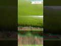 Nature Love Greenary Fields Bgm Whatsapp Status Shorts