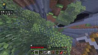 [マイクラ]ハードコアエンドラ討伐をしちゃう