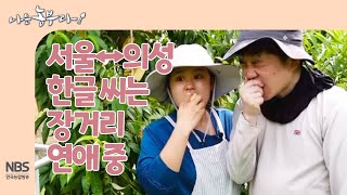 [나는농부다 257회] 서울↔의성 한글 씨는 장거리 연애 중