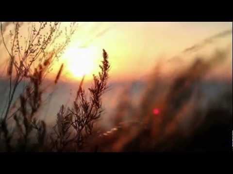 Sunset Melodies # 26 - Meets: Biotones - Progressive House