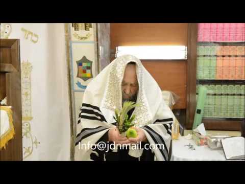 Sanz Gribov Rebbe Doing Nanuim Sukkos 5777