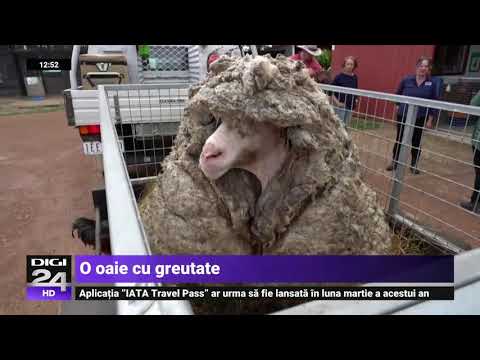 Gina carla pierdere în greutate