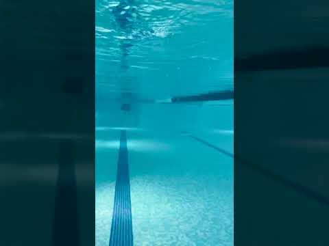 水下蝴蝶 ?♂️ 鏡頭 ?? (Underwater Butterfly ? ?‍♂️ Footage ? ?)