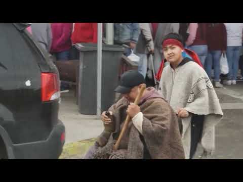 Wallmapu Series Trailer