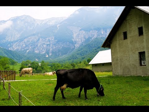 Tolmin Part 2- hiking to the Javorca Memorial Chapel