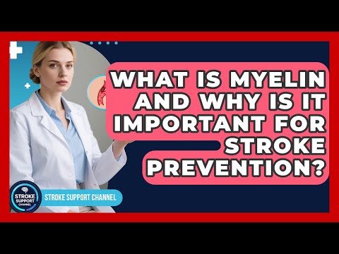What Is Myelin And Why Is It Important For Stroke Prevention? - Stroke Support Channel