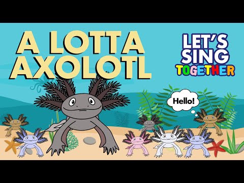 A Lotta Axolotl - Song for Kids