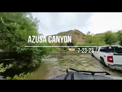 Dark Talon in Azusa Canyon - 7-23-23