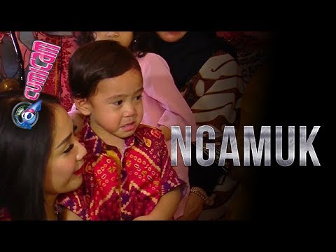 Digoda Raffi Saat Asik Makan, Rafathar Ngamuk - Cumicam 26 Juni 2017