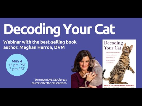 Decoding Your Cat with Dr. Meghan Herron