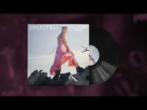 TRUSTFALL (Igor Blaska Remix) - P!NK