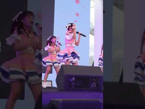 Pear - PTY 48  [Cover]