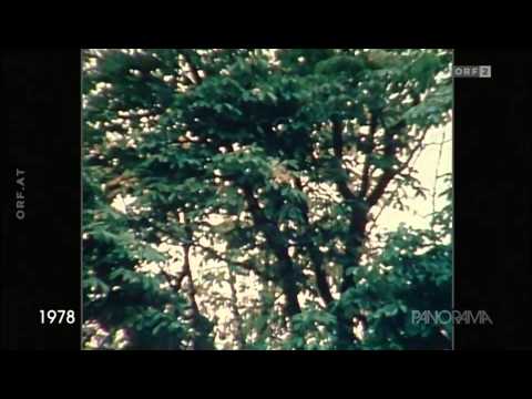 Panorama: H C  Artmann & Andre Heller 1978