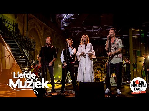 Liefde voor Muziek voor Rode Neuzen Dag - 'Porselein' | Liefde voor Muziek: De Reünie | VTM