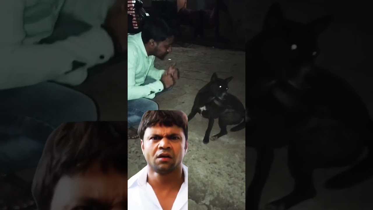 ek din ka CM 😂 live telecast ✨😅 #shorts #trend #viral #indianlaughs #funny #comedy #afaan4k #reels