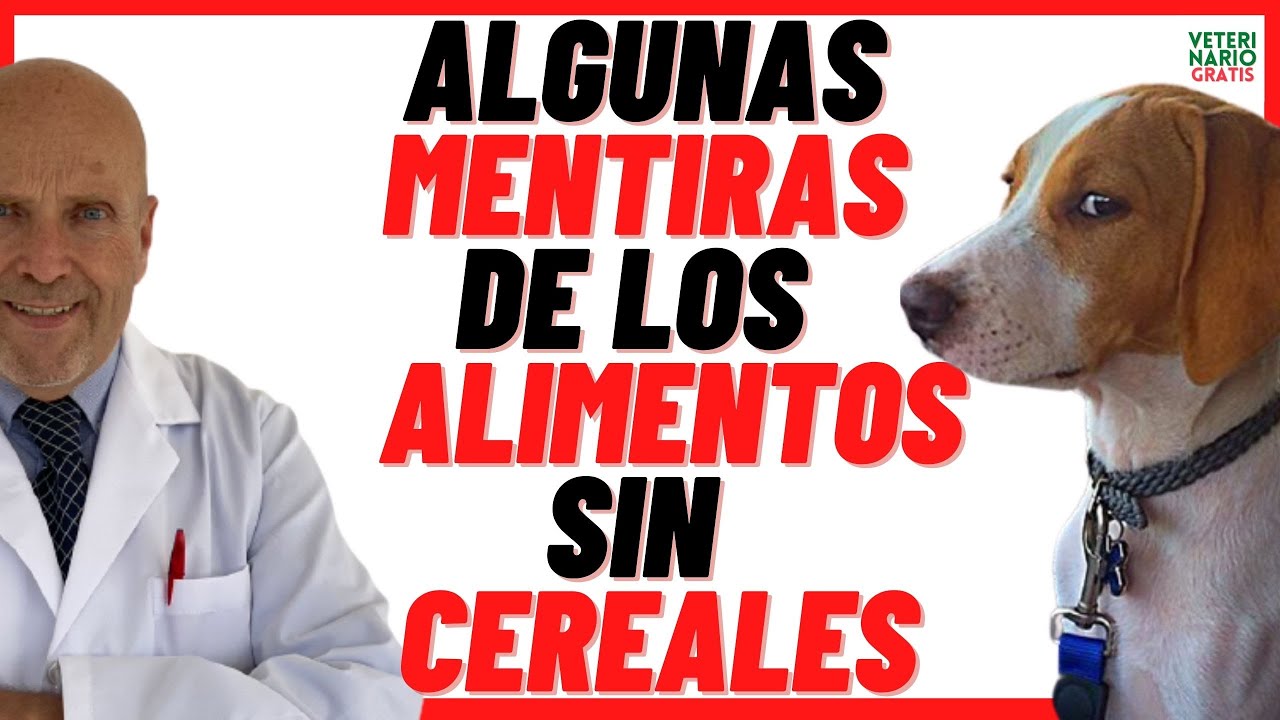 Algunas 🔴 MENTIRAS de los ALIMENTOS (Piensos o Croquetas) SIN CEREALES 🔴 BUENOS para PERROS. 🤑