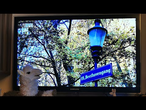 Lucy and The Global Ode to Joy in Vienna