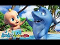 Bayi Hiu Baby Shark Duu Duu Lagu Anak Anak LooLoo Indonesia