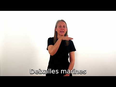Deixalles marines - LSC