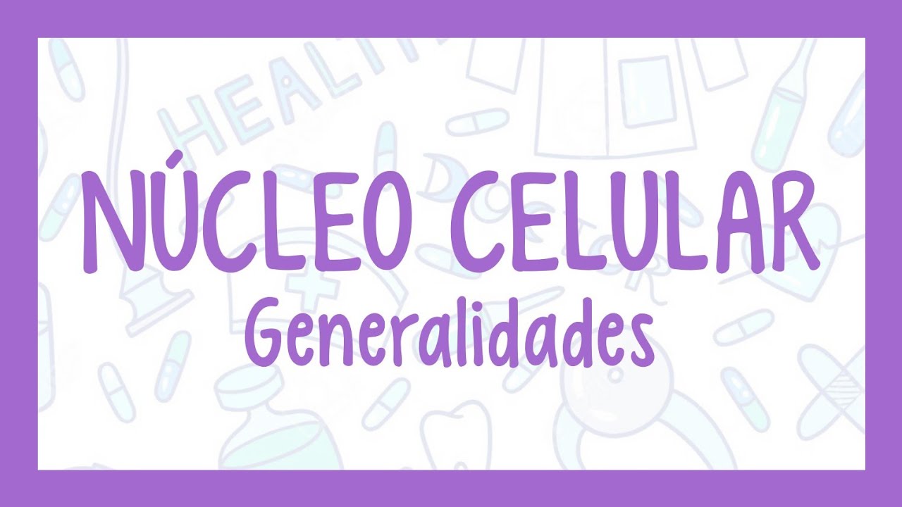 NÚCLEO CELULAR GENERALIDADES | ¡Fácil explicación! (Histología)