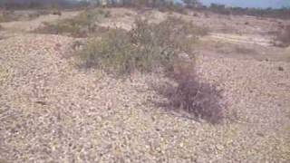 preview picture of video 'Valle de los Mamuts'