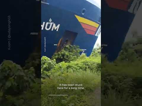 Singapore-flagged container ship crashes into riverbank in India | #AJ shorts