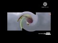 Sid And Scrat Scream Swirl Major