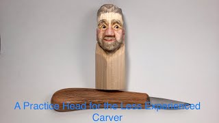 A Practice Head for the Less Experienced Carver