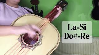 La mitad de mi orgullo - Vicente Fernández - Tutorial para guitarron 