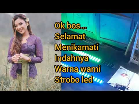 Strobo led 14ic beda koki beda rasa