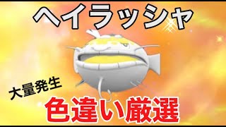 【ポケモンSV】処理の重さなんて関係ない　ランクマ最強ヘイラッシャ色狙います　大量発生色違い厳選