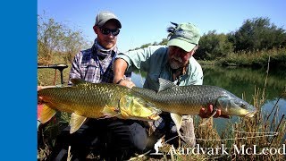 preview picture of video 'Fly fishing for Largemouth Yellowfish on the Orange River'