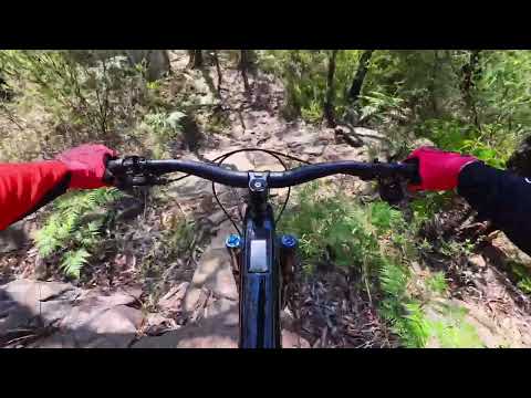 AMFLOW PL Carbon Pro - Mullet 27.5 with flip chip in 29” at Loftus